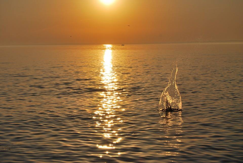 Biga Kemer Köyü Resimleri 1
