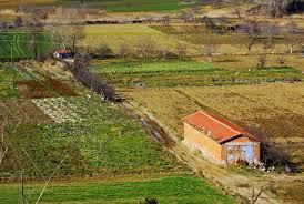 Karesi Naipler Köyü Resimleri 1