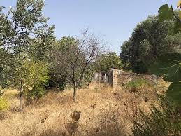 Karesi Ovacık Köyü Resimleri 2