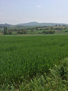 Karesi Taşkesiği Köyü Resimleri 2