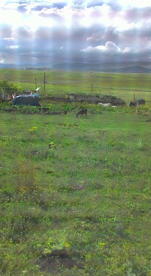 Göle Gülstan Köyü Resimleri 2