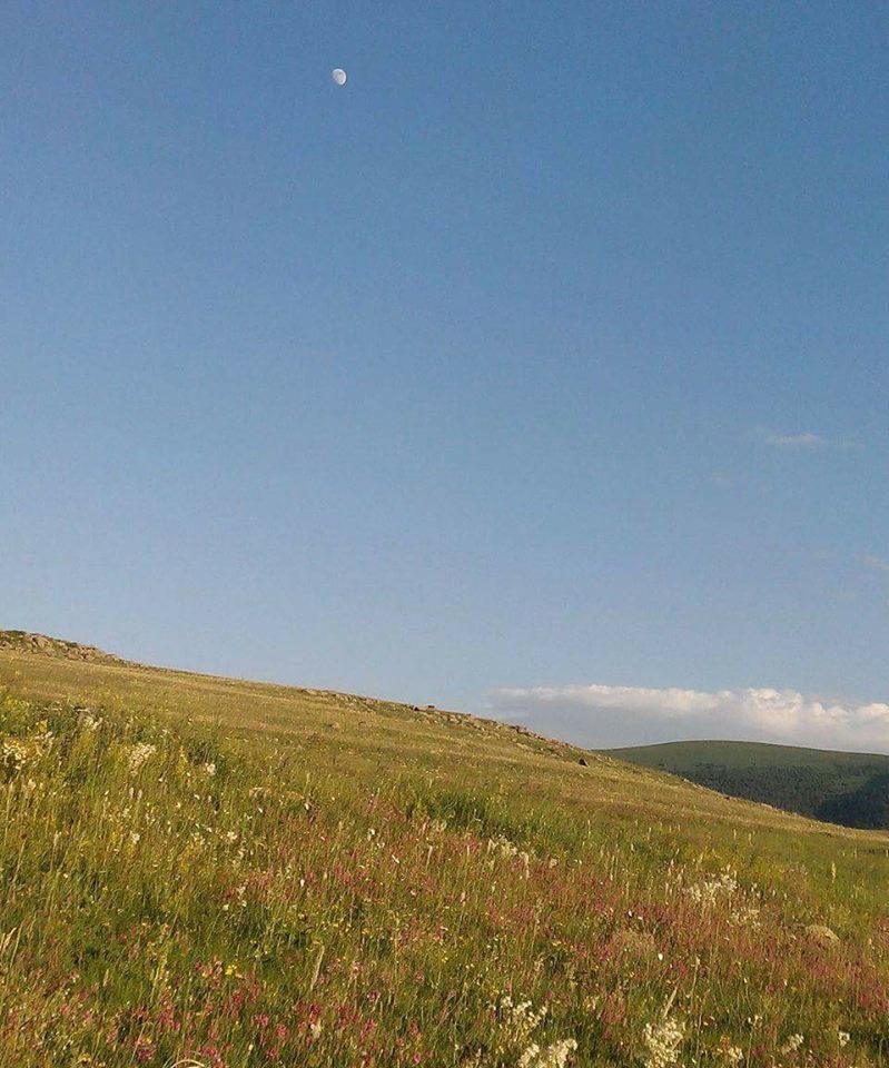 Göle Gülstan Köyü Resimleri 4