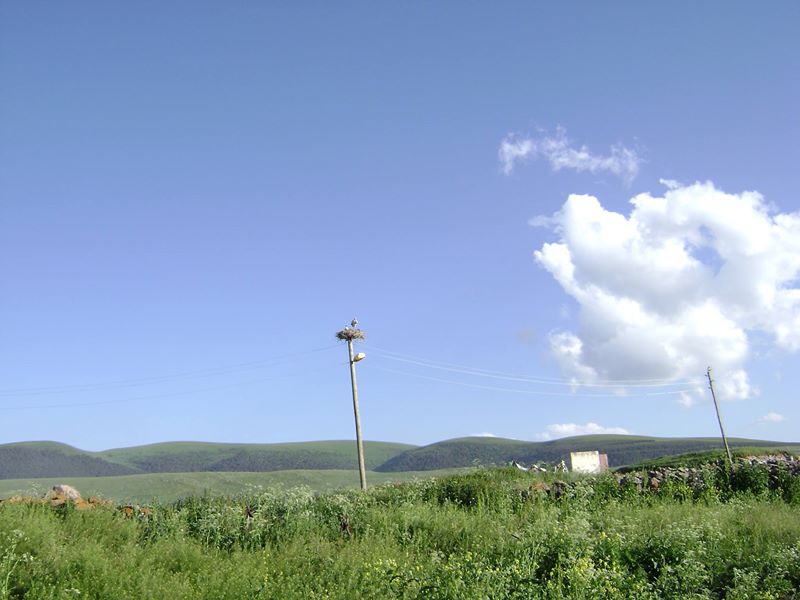 Göle Gülstan Köyü Resimleri 5