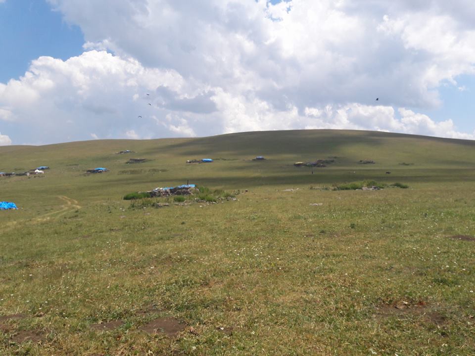 Göle Günorta Köyü Resimleri 6