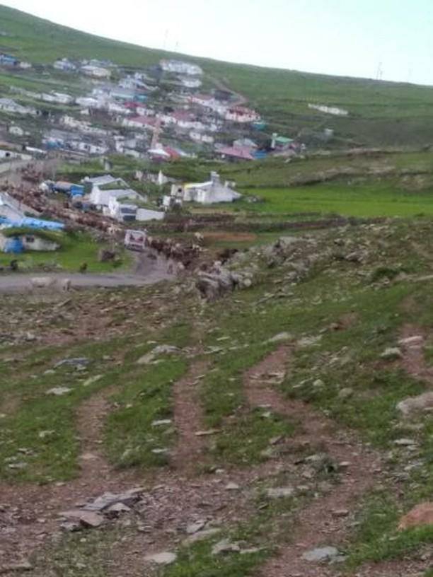 Göle Karatavuk Köyü Resimleri 9