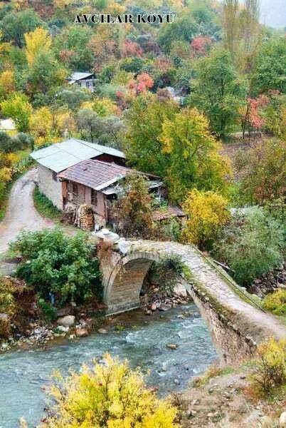 Artvin Ardanuç Avcılar Köyü Resimleri 1