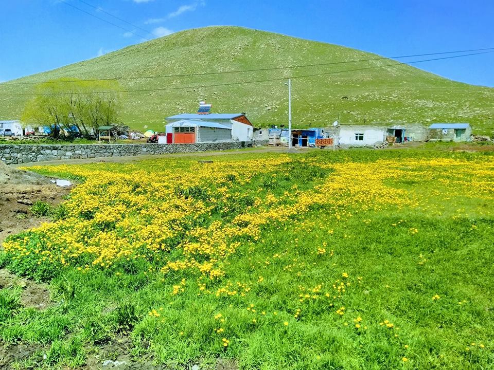 Göle Kayaaltı Köyü Resimleri 8