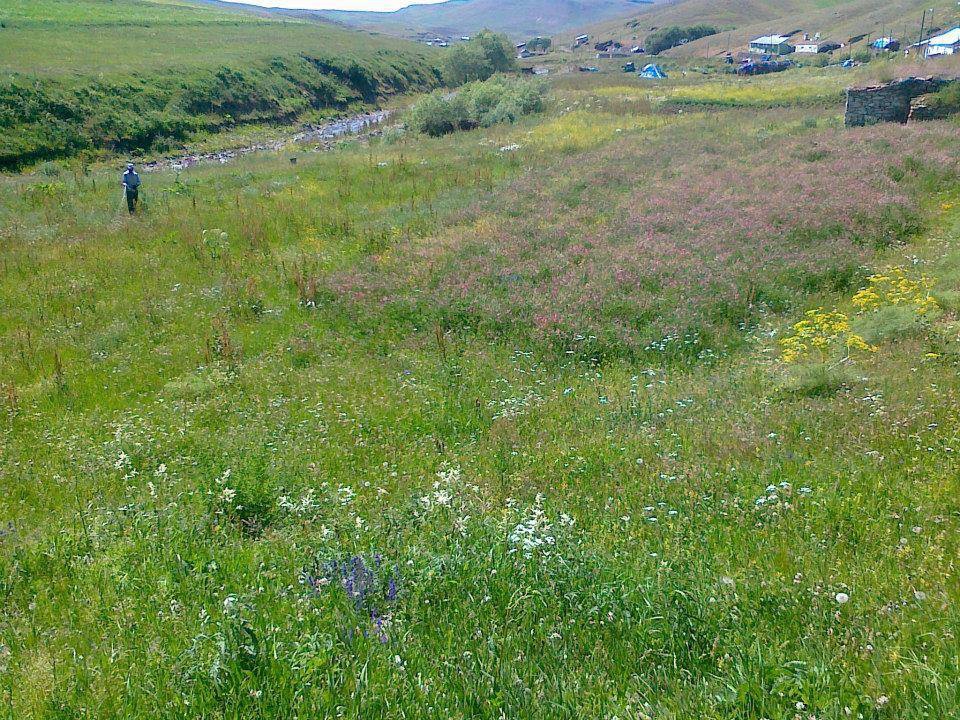 Göle Kuytuca Köyü Resimleri 5