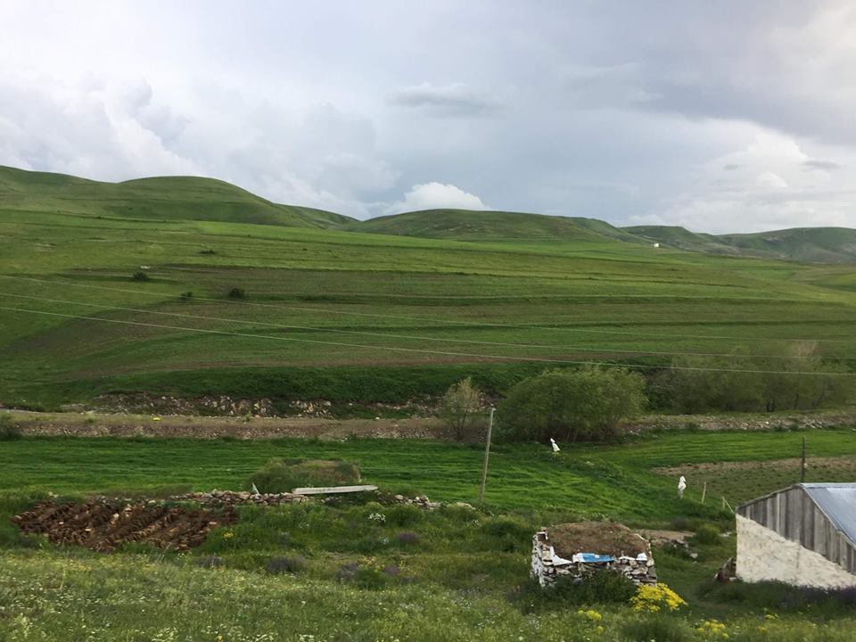 Göle Kuytuca Köyü Resimleri 6