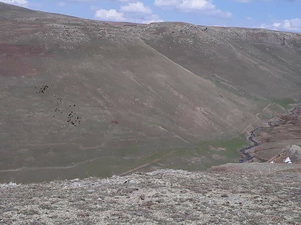 Göle Kuytuca Köyü Resimleri 8