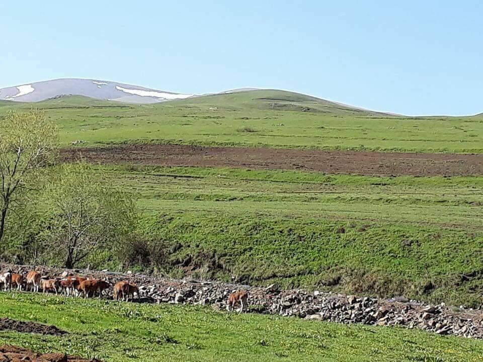 Göle Kuytuca Köyü Resimleri 9