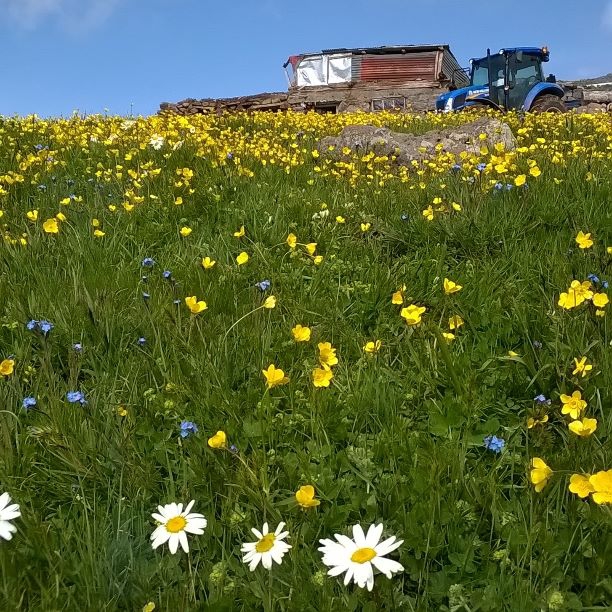Göle Kuzupınarı Köyü Resimleri 10