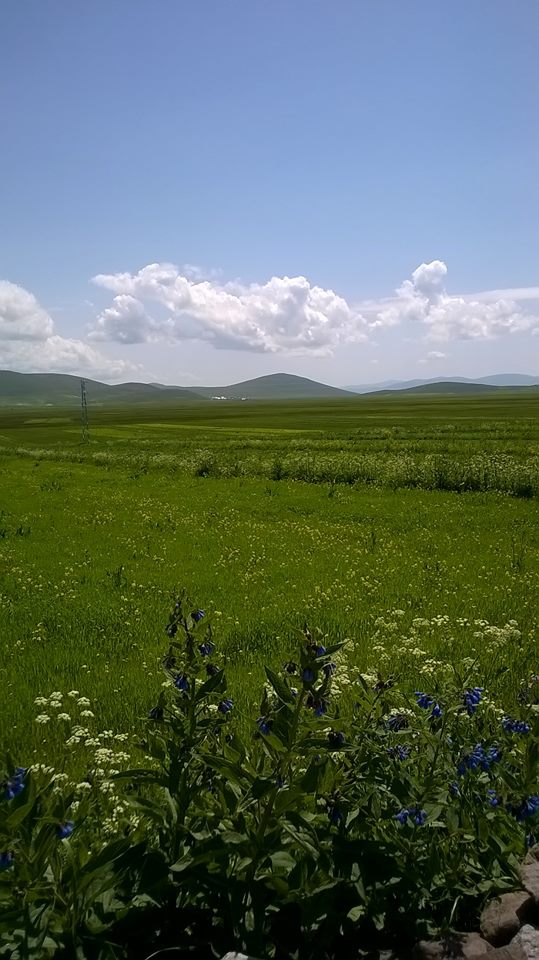 Göle Kuzupınarı Köyü Resimleri 3