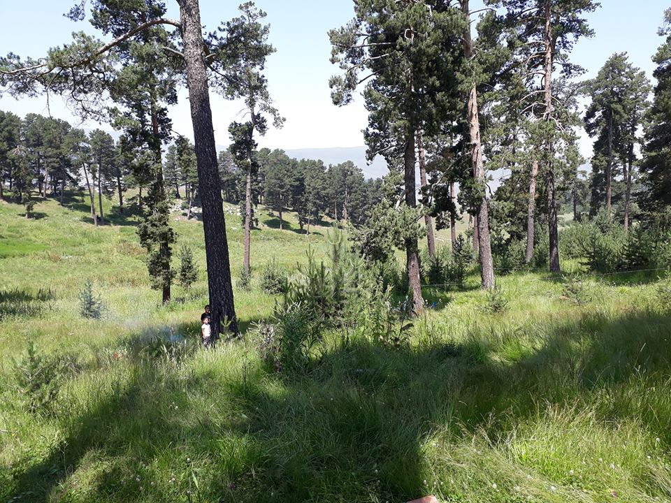 Göle Kuzupınarı Köyü Resimleri 7