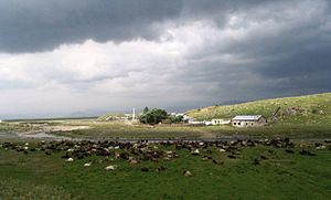 Göle Meşedibi Köyü Resimleri 7