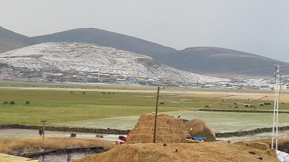 Göle Mollahasan Köyü Resimleri 5