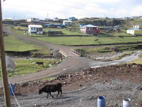 Göle Samandöken Köyü Resimleri 1