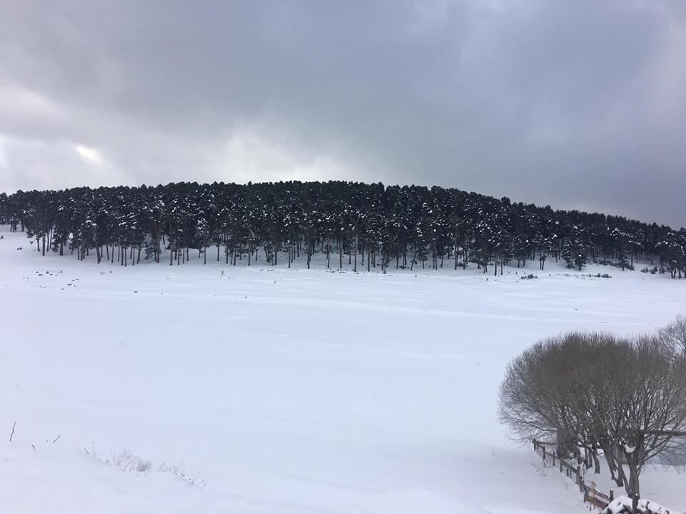Göle Samandöken Köyü Resimleri 9