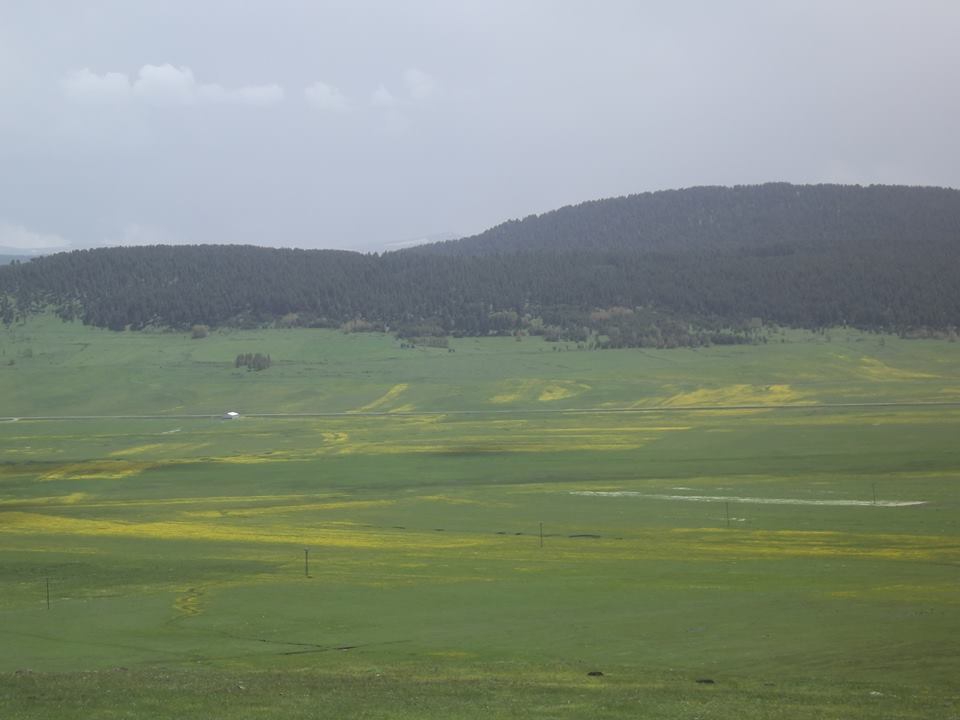 Göle Senemoğlu Köyü Resimleri 1