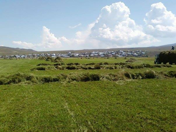 Göle Senemoğlu Köyü Resimleri 5