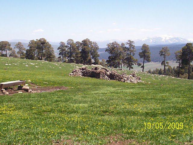 Göle Serinçayır Köyü Resimleri 10
