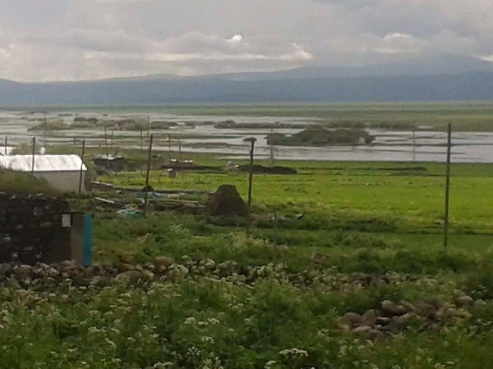 Göle Sürügüden Köyü Resimleri 2