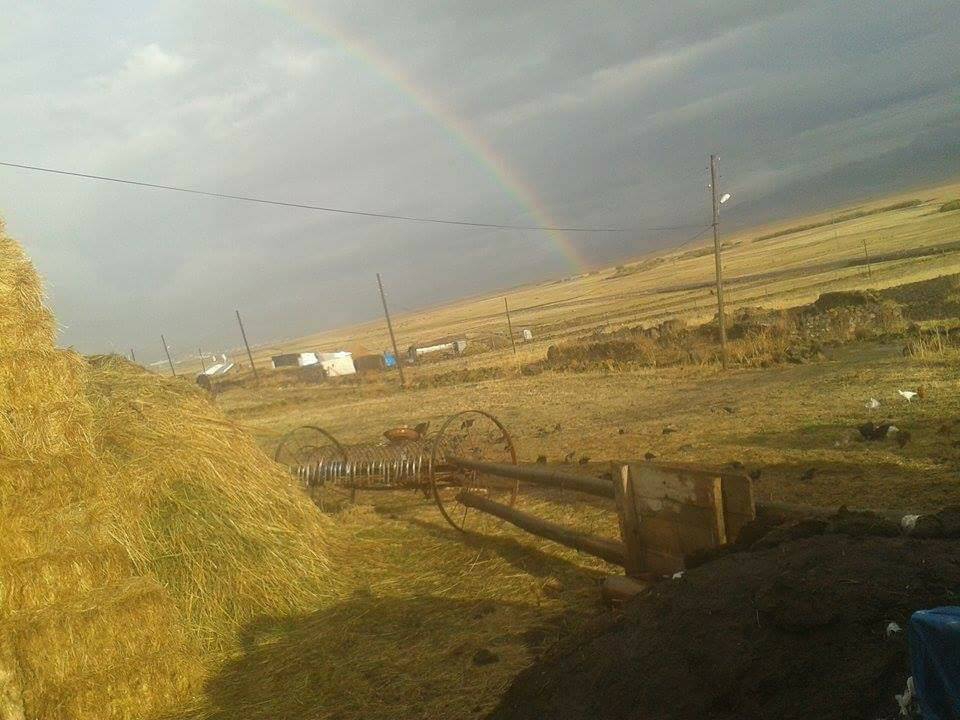 Göle Sürügüden Köyü Resimleri 3