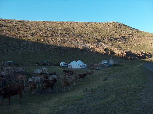 Göle Sürügüden Köyü Resimleri 7