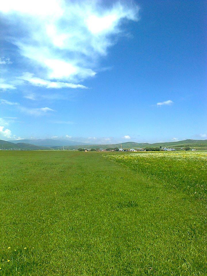 Göle Yağmuroğlu Köyü Resimleri 2