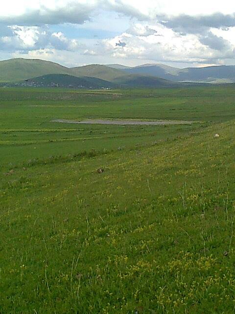 Göle Yağmuroğlu Köyü Resimleri 5