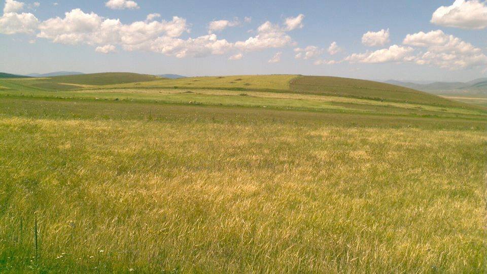 Göle Yağmuroğlu Köyü Resimleri 7