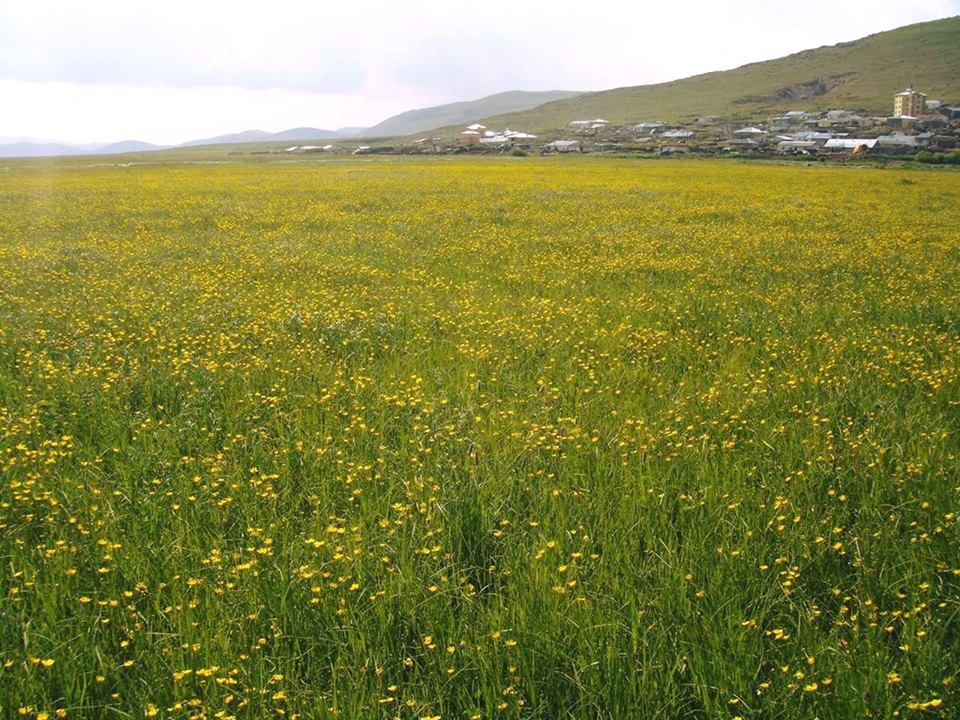 Göle Yanatlı Köyü Resimleri 4