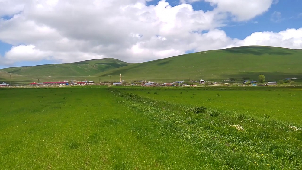 Göle Yavuzlar Köyü Resimleri 11