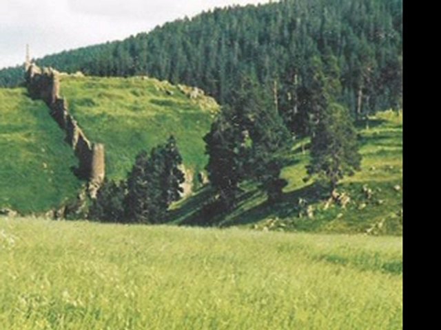 Göle Yavuzlar Köyü Resimleri 4