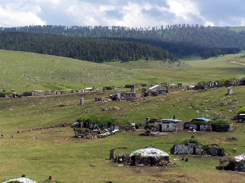 Göle Yavuzlar Köyü Resimleri 8