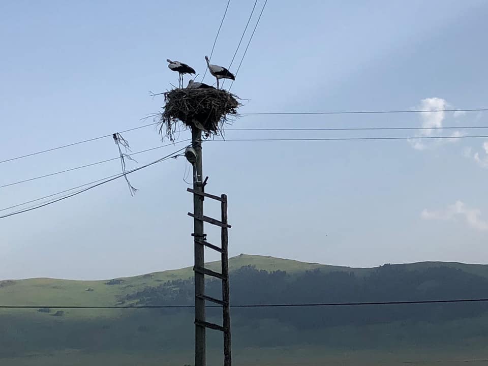 Göle Yeleçli Köyü Resimleri 4