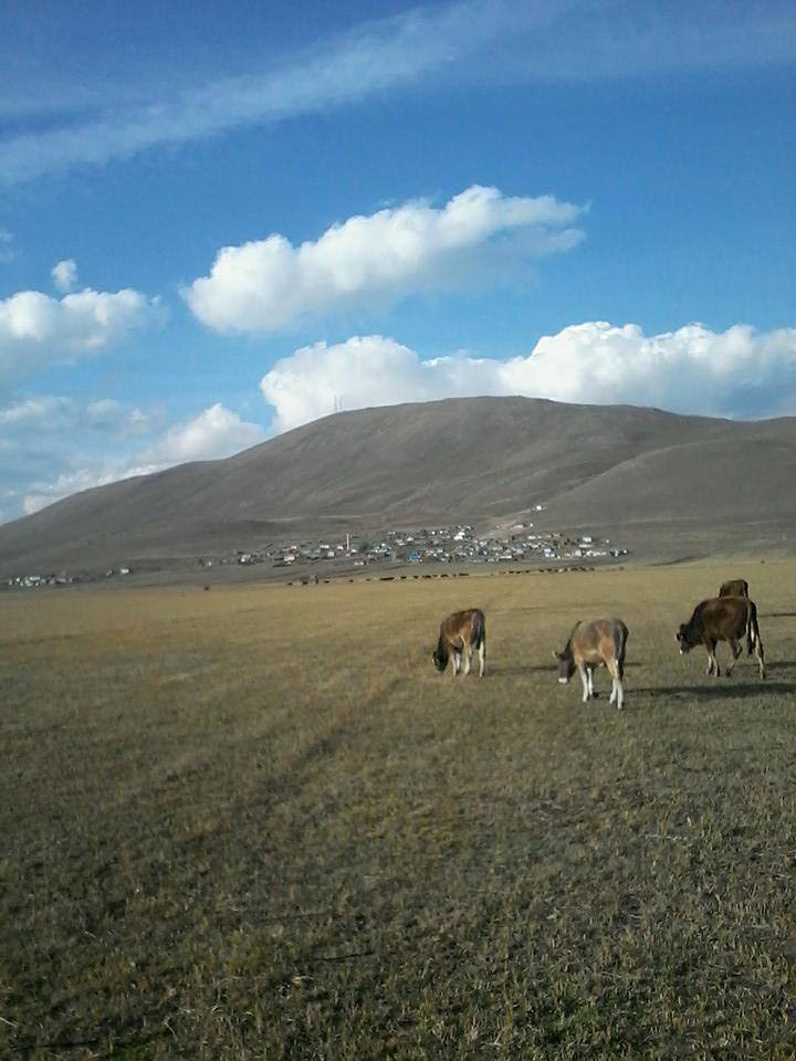 Göle Yeleçli Köyü Resimleri 6