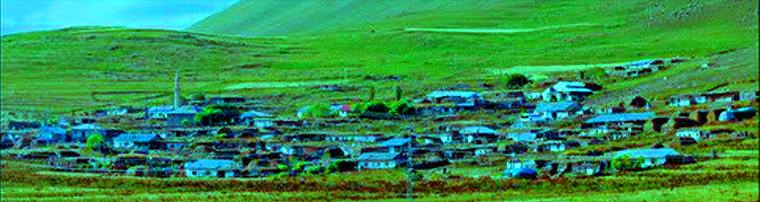 Göle Yeleçli Köyü Resimleri 7