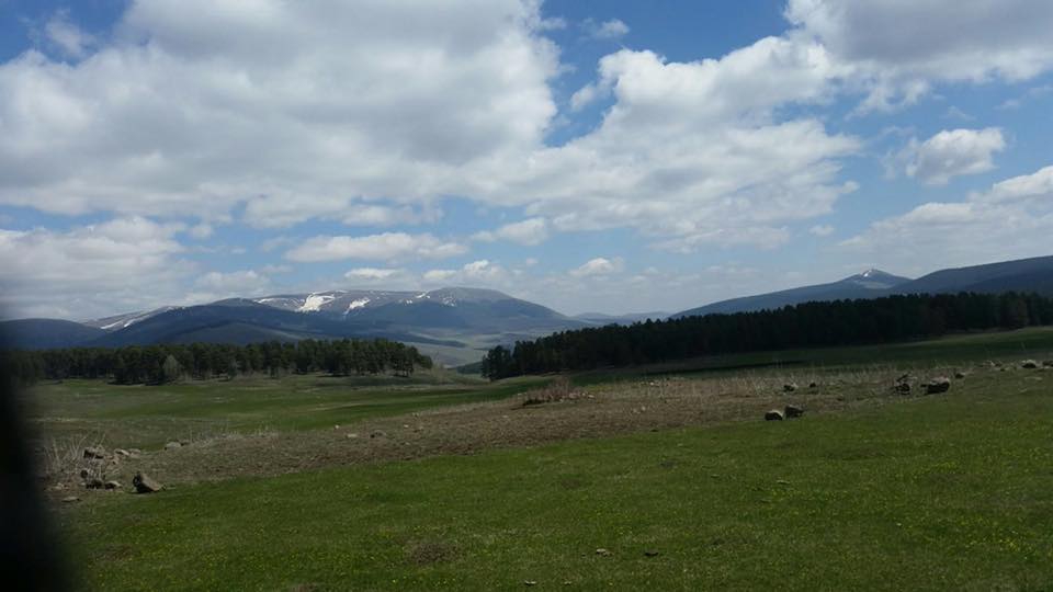 Göle Yeniköy Köyü Resimleri 10