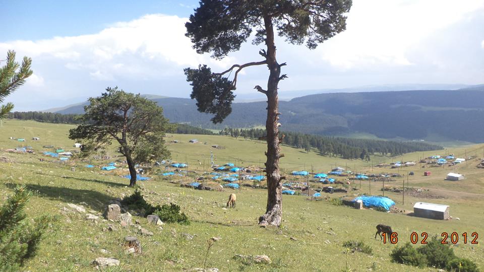 Göle Yeniköy Köyü Resimleri 2