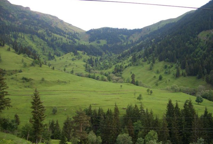 Göle Yeniköy Köyü Resimleri 5