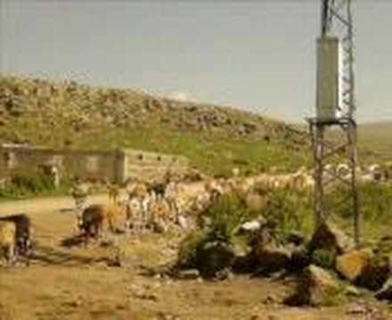 Hanak Arıkonak Köyü Resimleri 2