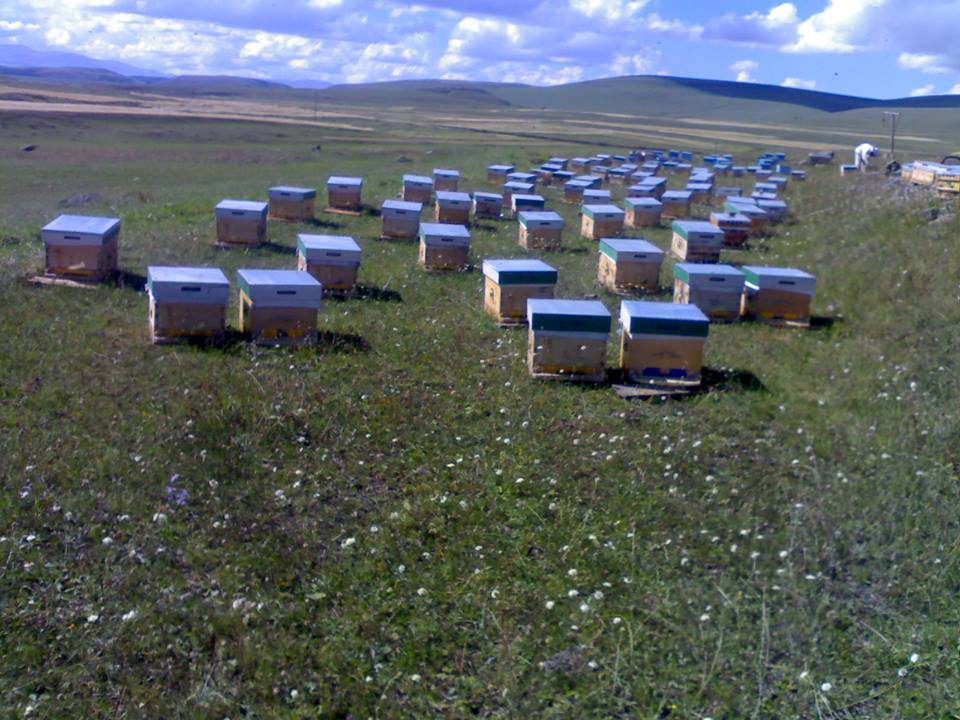 Hanak Arıkonak Köyü Resimleri 3