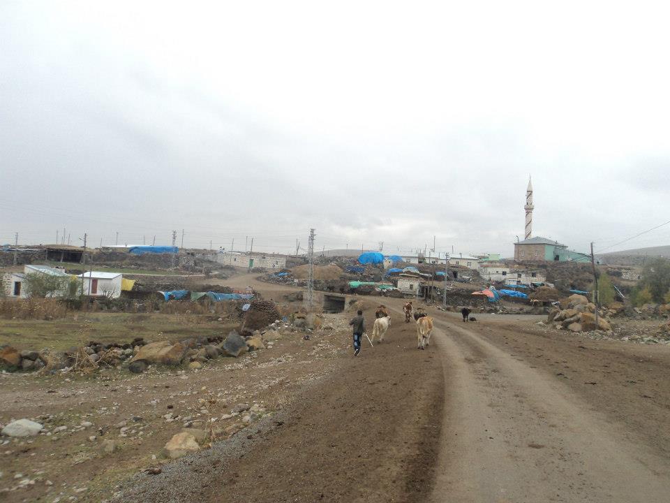 Hanak Arıkonak Köyü Resimleri 4