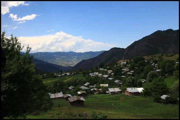 Artvin Ardanuç Bereket Köyü Resimleri 3