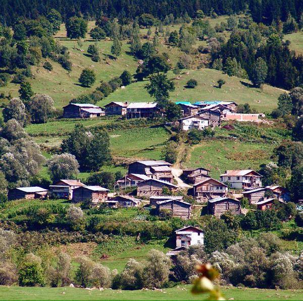 Artvin Ardanuç Bereket Köyü Resimleri 5