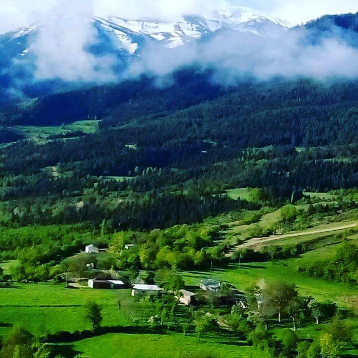 Artvin Ardanuç Bereket Köyü Resimleri 6
