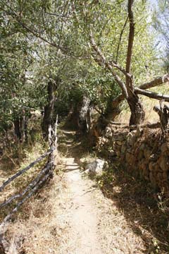 Gümüşhane Gökdere Köyü Resimleri 7