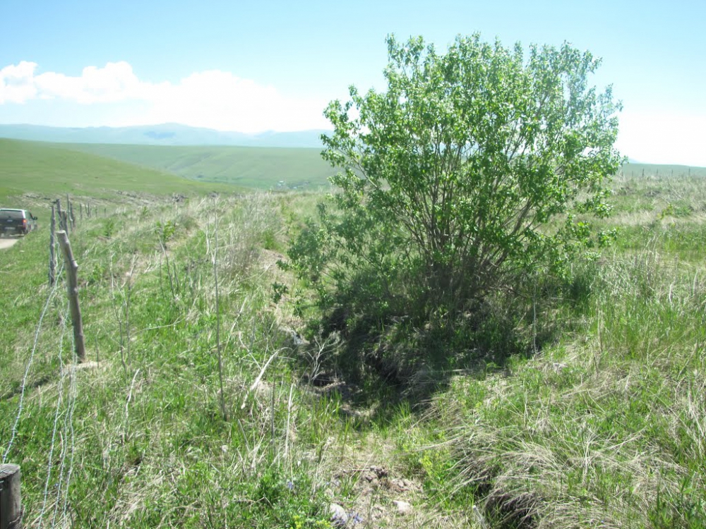 Hanak Çatköy Köyü Resimleri 11