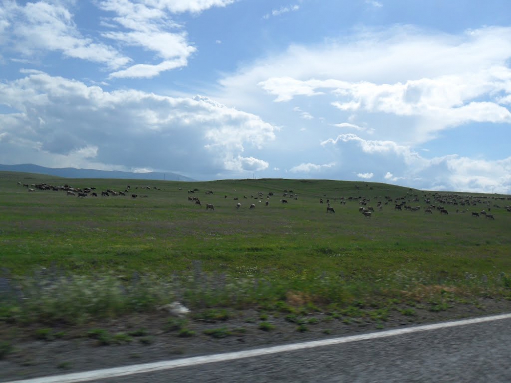 Hanak Çatköy Köyü Resimleri 4
